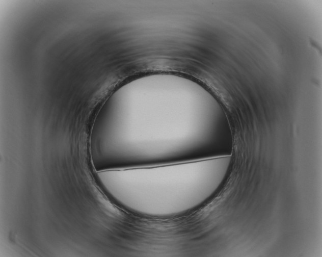 X0000097890445200803141009