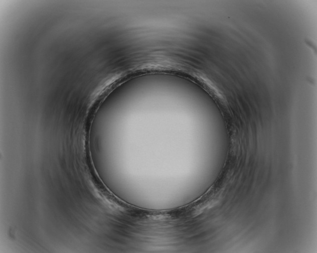 X0000097890446200803141009