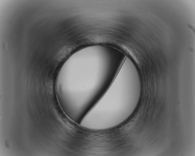 X0000097890447200803141009