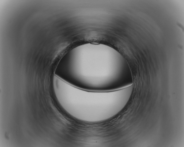 X0000097890448200803141009