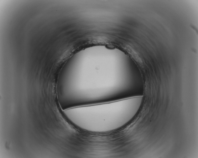 X0000097890449200803141009