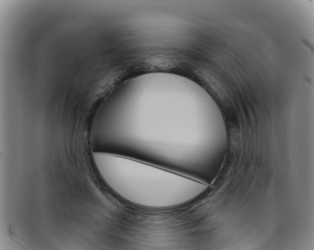 X0000097890451200803141009