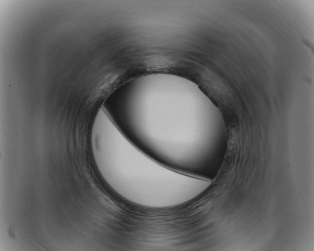 X0000097890452200803141009