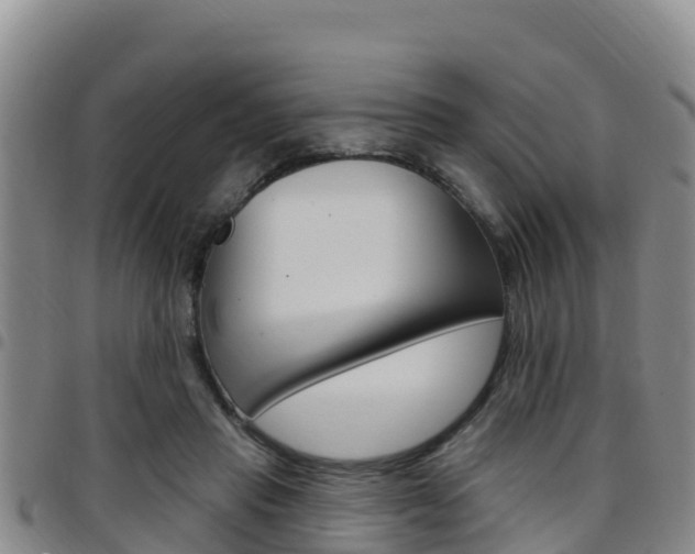 X0000097890453200803141009