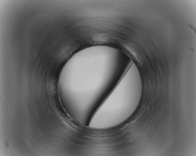 X0000097890455200803141009