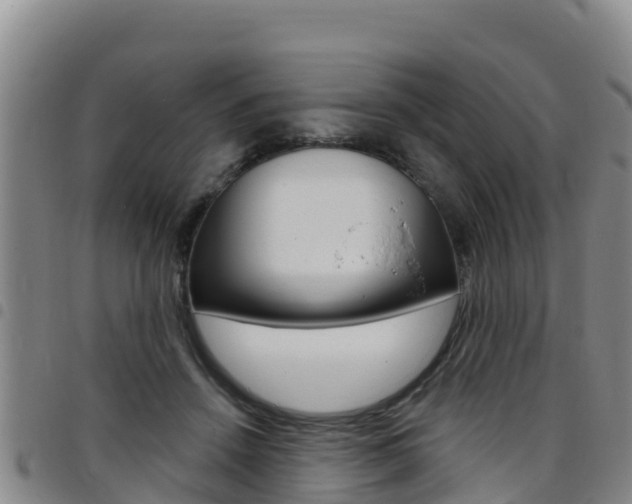 X0000097890456200803141009