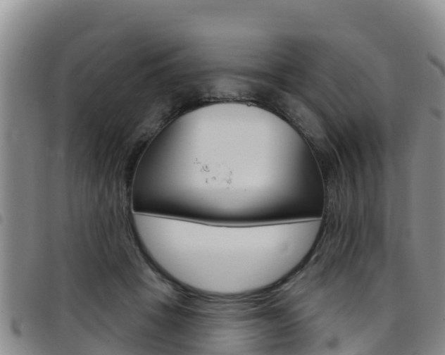 X0000097890457200803141009