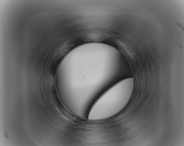 X0000097890459200803141009