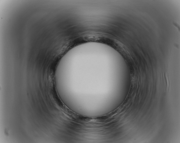 X0000097890460200803141009