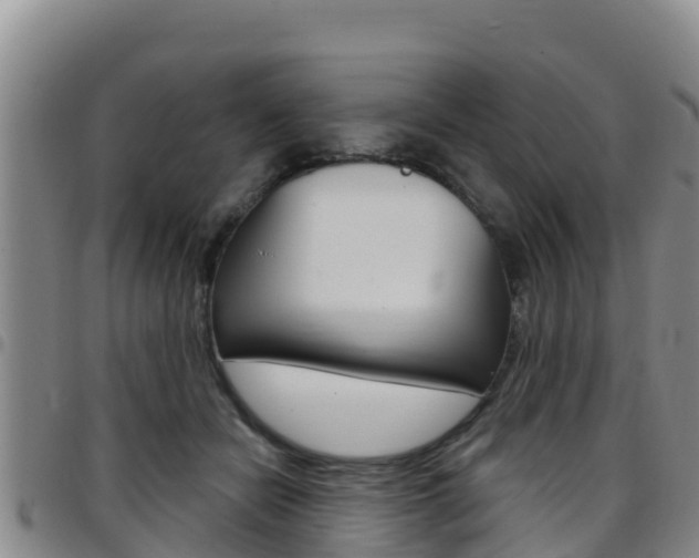 X0000097890462200803141009