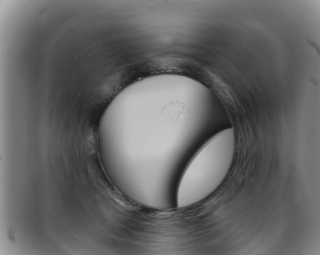 X0000097890465200803141009