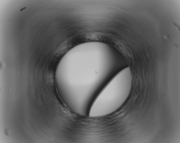 X0000097890466200803141009