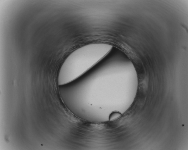 X0000097890469200803141009