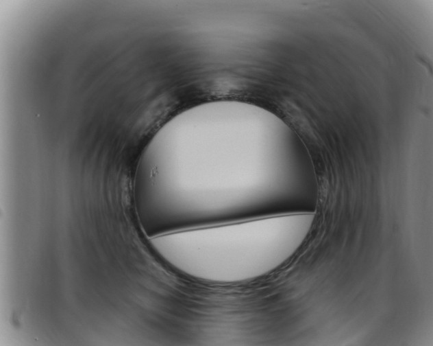 X0000097890470200803141009