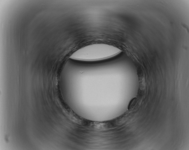 X0000097890472200803141009