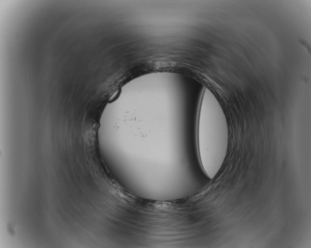 X0000097890475200803141009