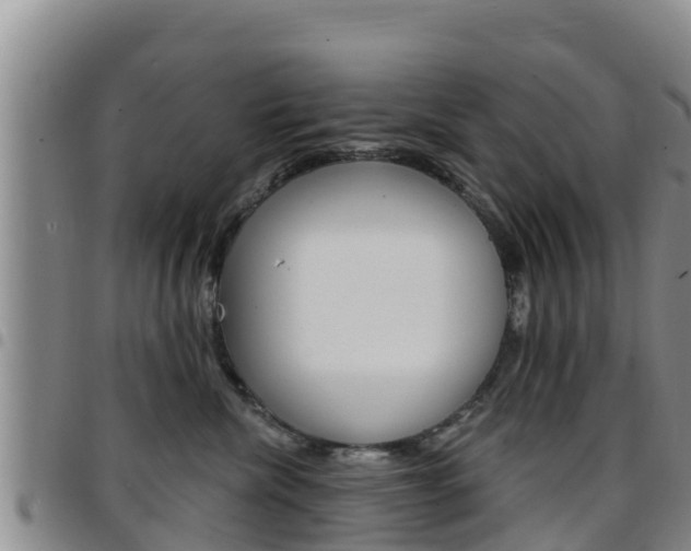 X0000097890476200803141009