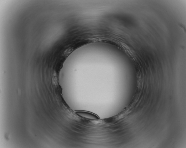 X0000097890477200803141009