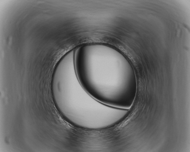 X0000097890481200803141008