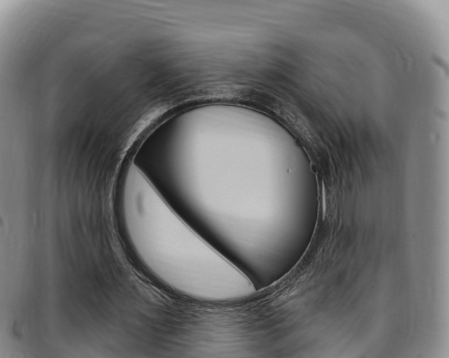 X0000097890483200803141008