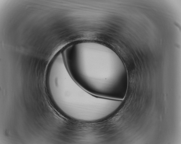 X0000097890484200803141008