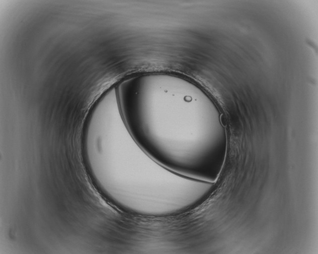 X0000097890485200803141008