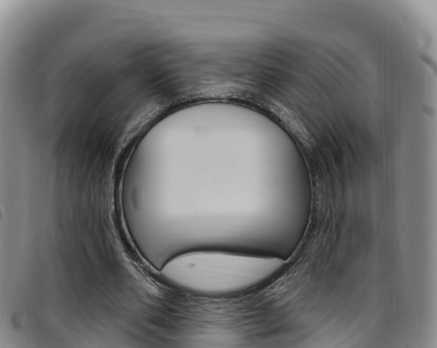 X0000097890486200803141008