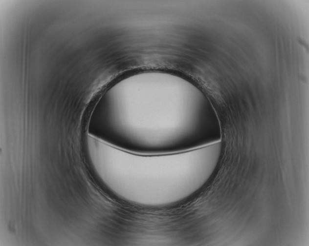 X0000097890488200803141008