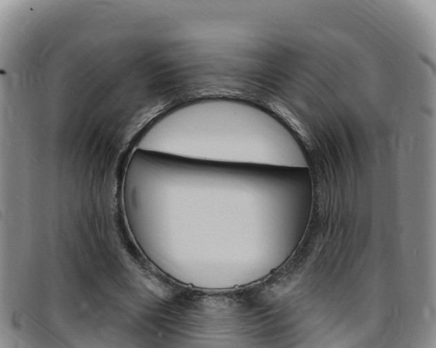 X0000097890490200803141008