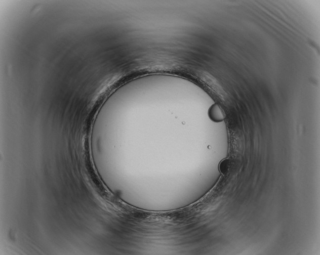 X0000097890491200803141008