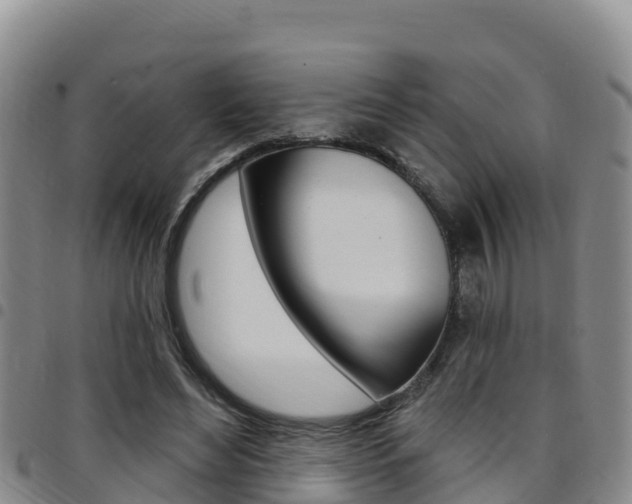 X0000097890492200803141008