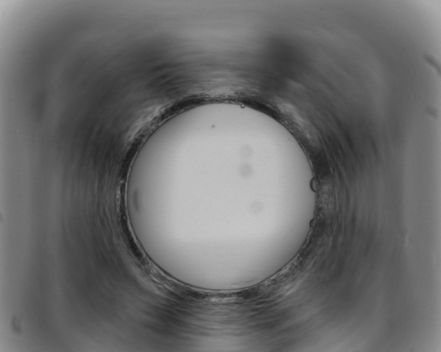 X0000097890495200803141008