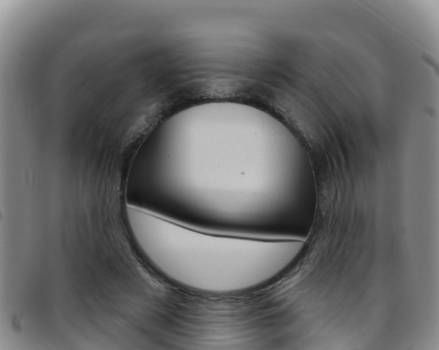 X0000097890497200803141008
