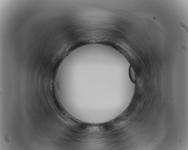 X0000097890499200803141008