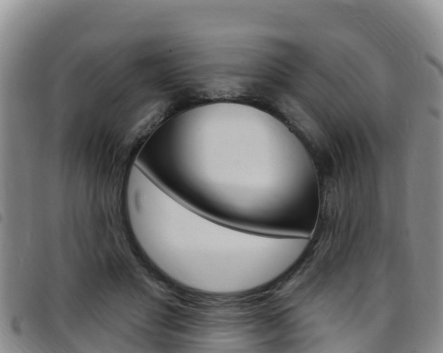 X0000097890501200803141008