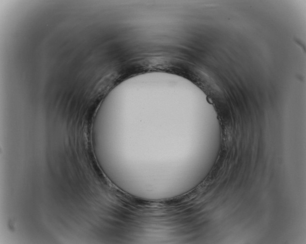 X0000097890506200803141008