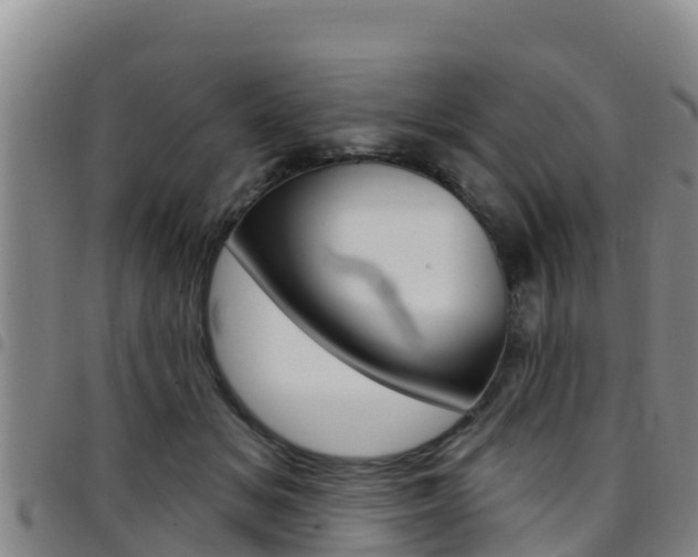 X0000097890509200803141008