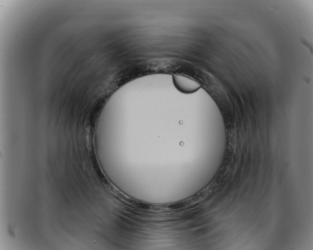 X0000097890510200803141008