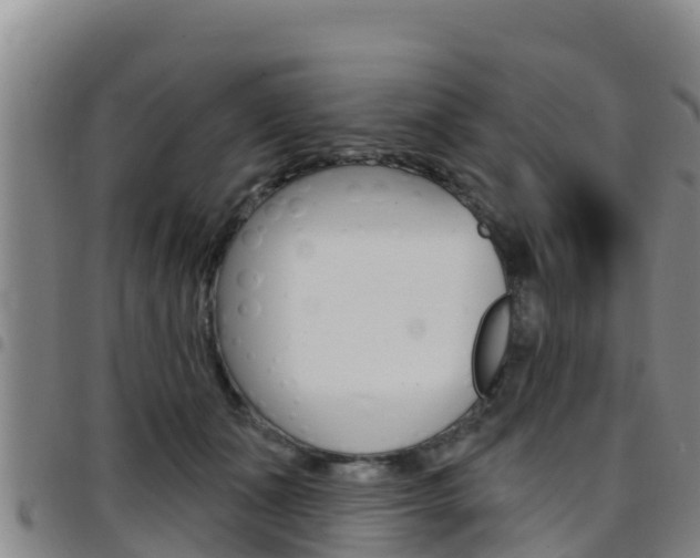 X0000097890511200803141008