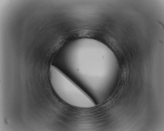 X0000097890513200803141008