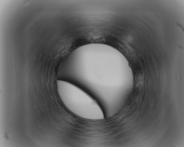 X0000097890515200803141008