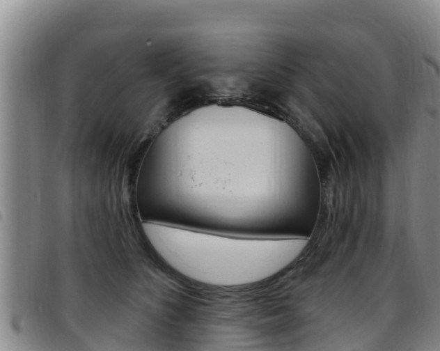 X0000097890516200803141008