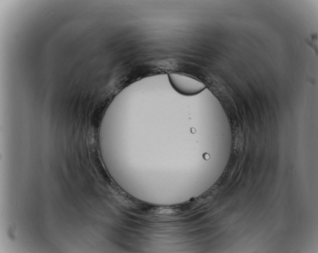 X0000097890518200803141008