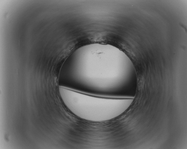 X0000097890521200803141008