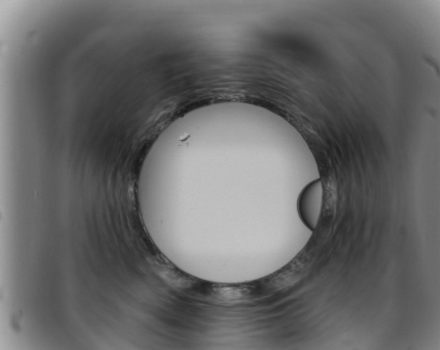 X0000097890522200803141008