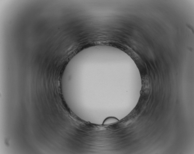 X0000097890523200803141008