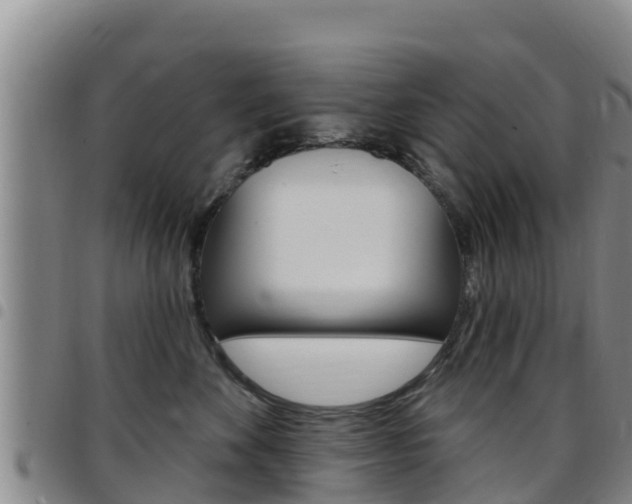 X0000097890524200803141008