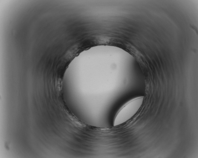 X0000097890525200803141008