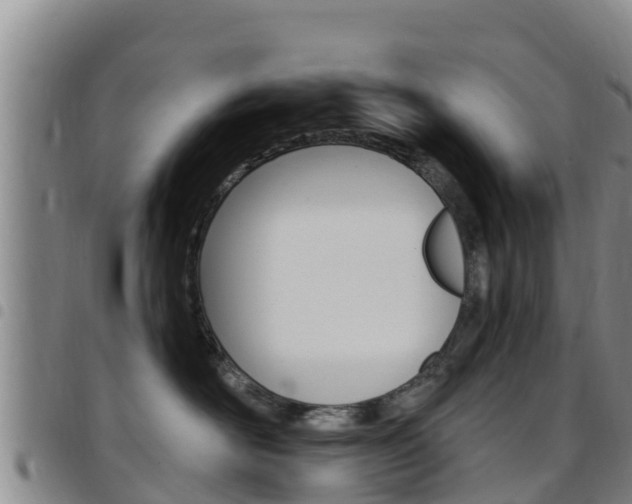 X0000097890526200803141008