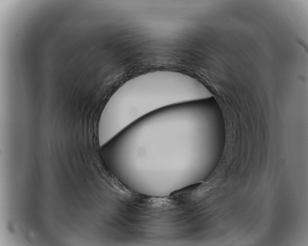 X0000097890528200803141008